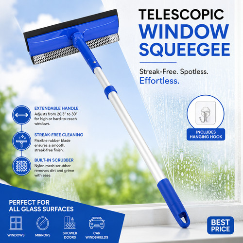 Window squeegee cleaner - 1,